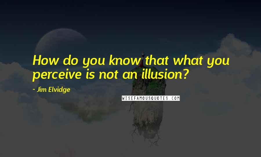 Jim Elvidge quotes: How do you know that what you perceive is not an illusion?