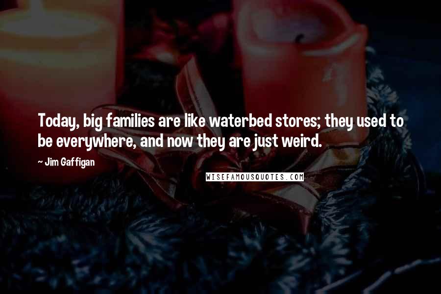 Jim Gaffigan quotes: Today, big families are like waterbed stores; they used to be everywhere, and now they are just weird.