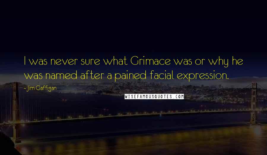 Jim Gaffigan quotes: I was never sure what Grimace was or why he was named after a pained facial expression.