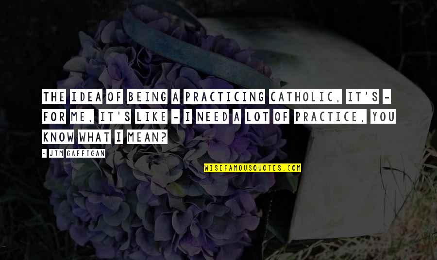 Jim Gaffigan Quotes By Jim Gaffigan: The idea of being a practicing Catholic, it's Jim Gaffigan Quotes By Jim Gaffigan: The idea of being a practicing Catholic, it's