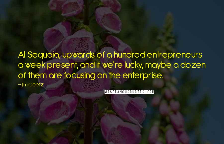 Jim Goetz quotes: At Sequoia, upwards of a hundred entrepreneurs a week present, and if we're lucky, maybe a dozen of them are focusing on the enterprise.