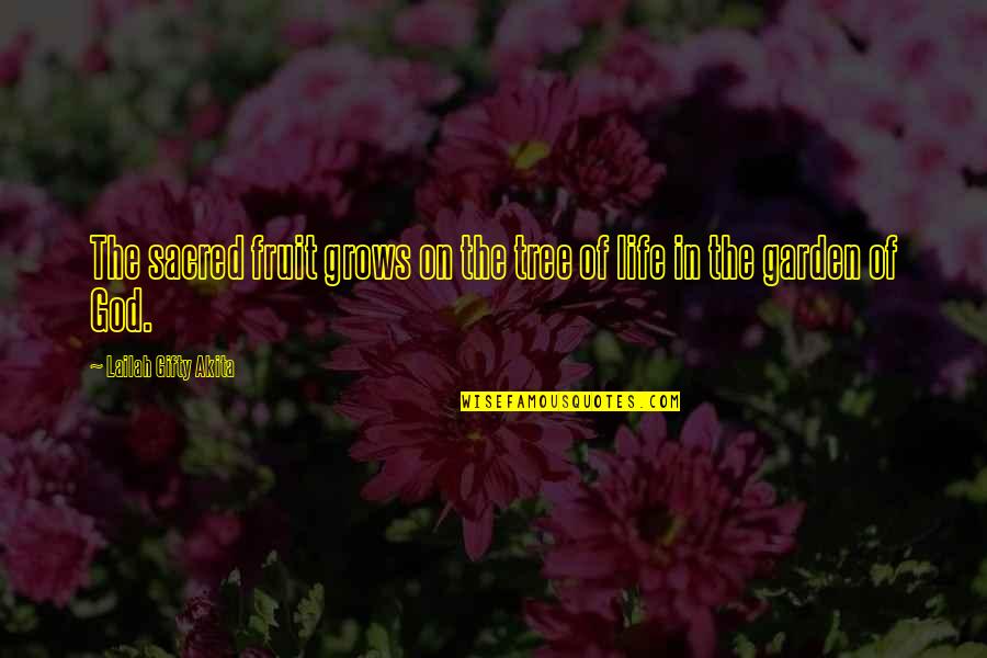Jim Halpert Pam Beesly Quotes By Lailah Gifty Akita: The sacred fruit grows on the tree of Jim Halpert Pam Beesly Quotes By Lailah Gifty Akita: The sacred fruit grows on the tree of
