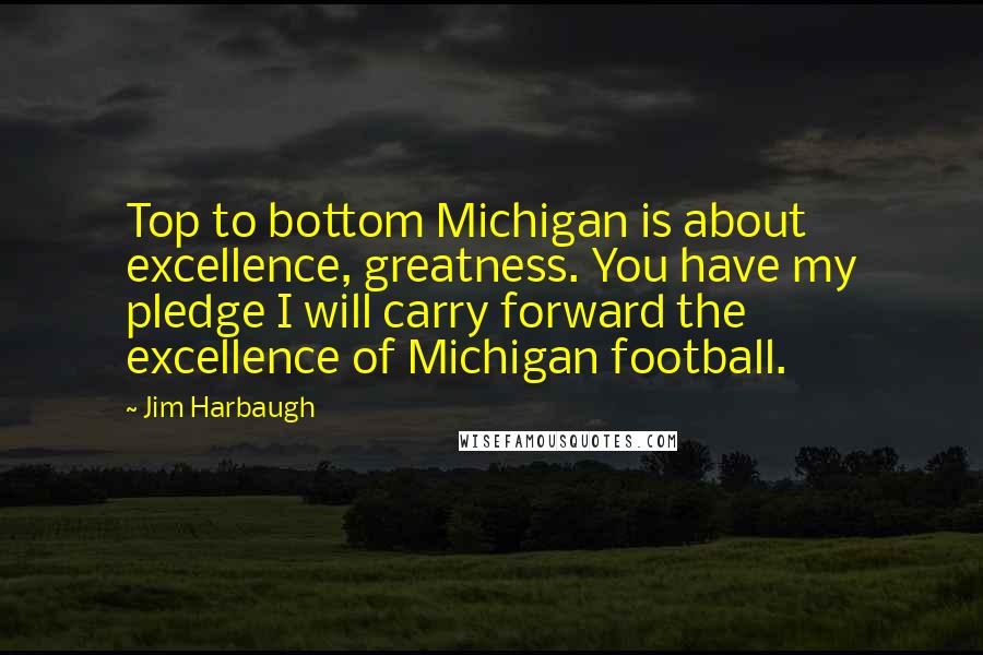 Jim Harbaugh quotes: Top to bottom Michigan is about excellence, greatness. You have my pledge I will carry forward the excellence of Michigan football.