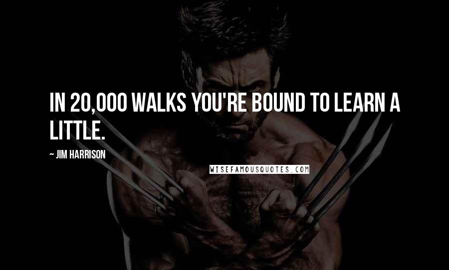 Jim Harrison quotes: In 20,000 walks you're bound to learn a little.