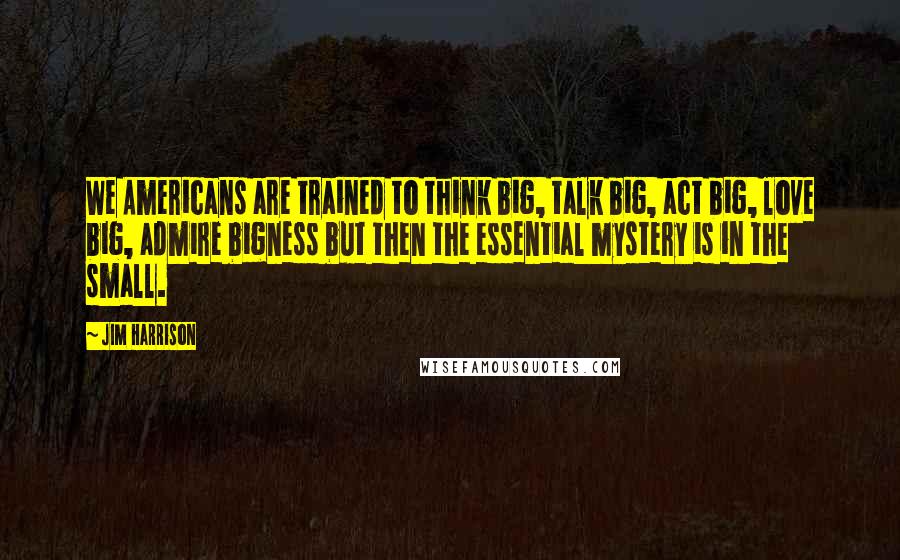 Jim Harrison quotes: We Americans are trained to think big, talk big, act big, love big, admire bigness but then the essential mystery is in the small.
