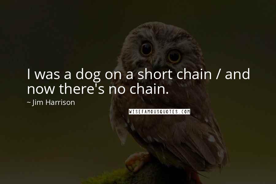 Jim Harrison quotes: I was a dog on a short chain / and now there's no chain.