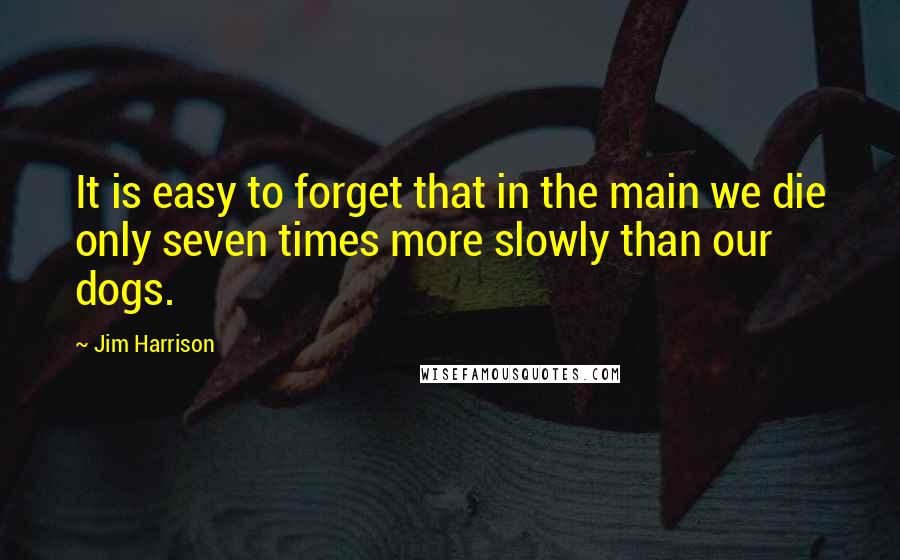 Jim Harrison quotes: It is easy to forget that in the main we die only seven times more slowly than our dogs.