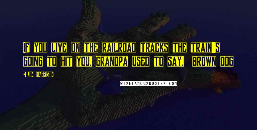Jim Harrison quotes: If you live on the railroad tracks the train's going to hit you, Grandpa used to say. Brown Dog