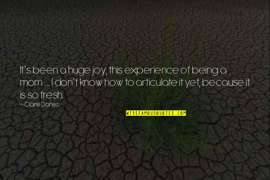 Jim Henson Kermit Quotes By Claire Danes: It's been a huge joy, this experience of