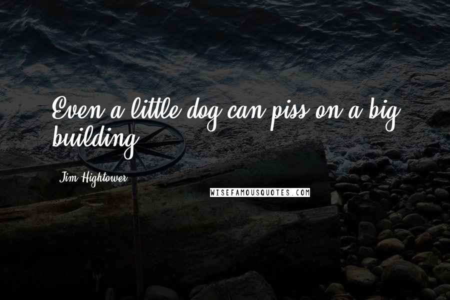 Jim Hightower quotes: Even a little dog can piss on a big building.