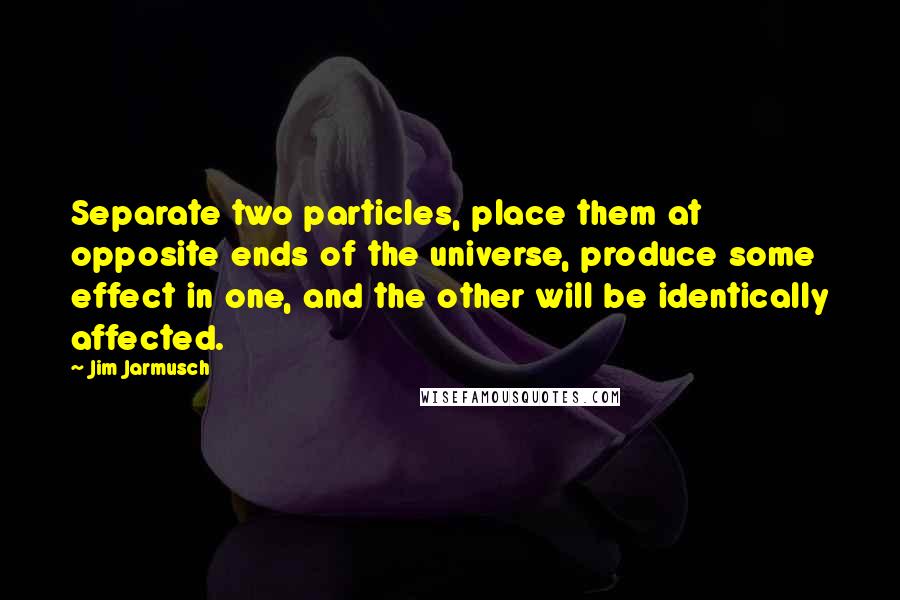 Jim Jarmusch quotes: Separate two particles, place them at opposite ends of the universe, produce some effect in one, and the other will be identically affected.