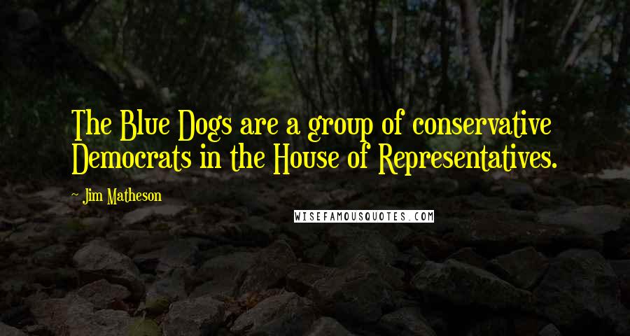 Jim Matheson quotes: The Blue Dogs are a group of conservative Democrats in the House of Representatives.