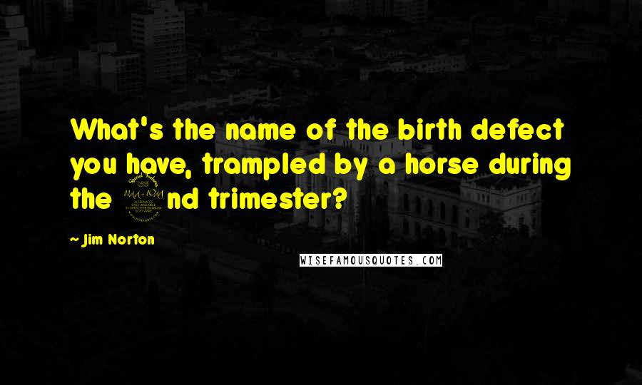 Jim Norton quotes: What's the name of the birth defect you have, trampled by a horse during the 2nd trimester?