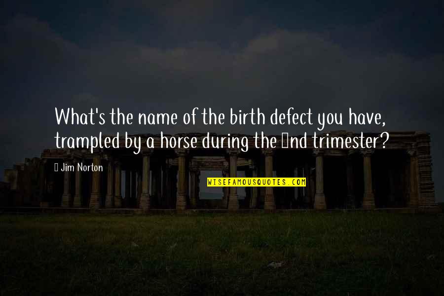 Jim Norton Quotes By Jim Norton: What's the name of the birth defect you Jim Norton Quotes By Jim Norton: What's the name of the birth defect you
