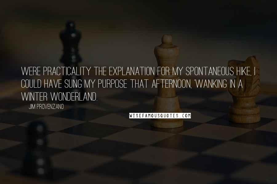 Jim Provenzano quotes: Were practicality the explanation for my spontaneous hike, I could have sung my purpose that afternoon, 'Wanking in a Winter Wonderland.