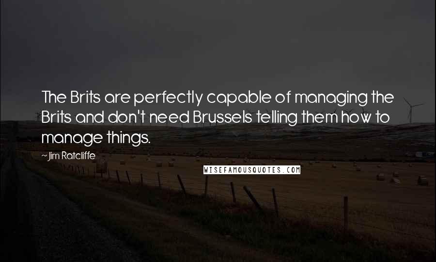 Jim Ratcliffe quotes: The Brits are perfectly capable of managing the Brits and don't need Brussels telling them how to manage things.