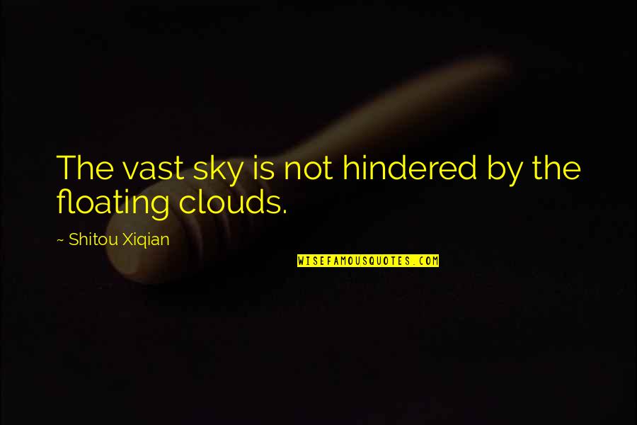 Jim Rivaldo Quotes By Shitou Xiqian: The vast sky is not hindered by the Jim Rivaldo Quotes By Shitou Xiqian: The vast sky is not hindered by the