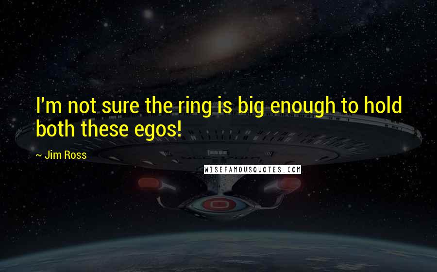 Jim Ross quotes: I'm not sure the ring is big enough to hold both these egos!
