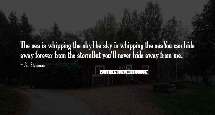 Jim Steinman quotes: The sea is whipping the skyThe sky is whipping the seaYou can hide away forever from the stormBut you'll never hide away from me. Jim Steinman quotes: The sea is whipping the skyThe sky is whipping the seaYou can hide away forever from the stormBut you'll never hide away from me.