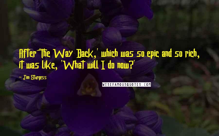 Jim Sturgess quotes: After 'The Way Back,' which was so epic and so rich, it was like, 'What will I do now?'