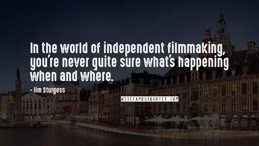 Jim Sturgess quotes: In the world of independent filmmaking, you're never quite sure what's happening when and where.