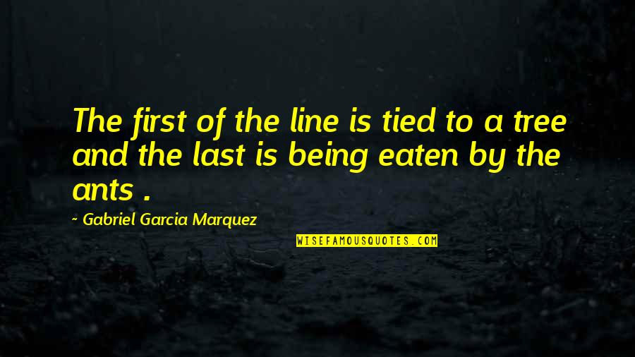 Jim Telfer Lions Quotes By Gabriel Garcia Marquez: The first of the line is tied to Jim Telfer Lions Quotes By Gabriel Garcia Marquez: The first of the line is tied to