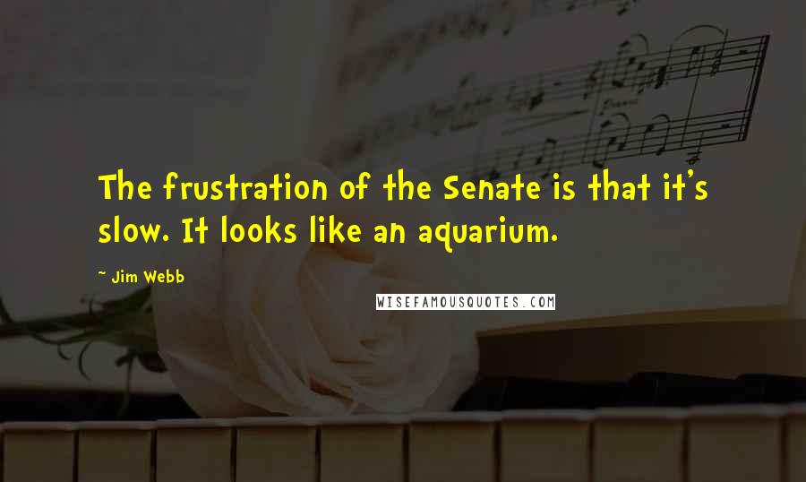 Jim Webb quotes: The frustration of the Senate is that it's slow. It looks like an aquarium.