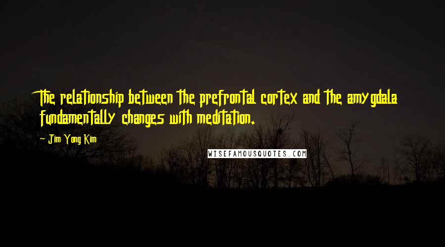 Jim Yong Kim quotes: The relationship between the prefrontal cortex and the amygdala fundamentally changes with meditation.