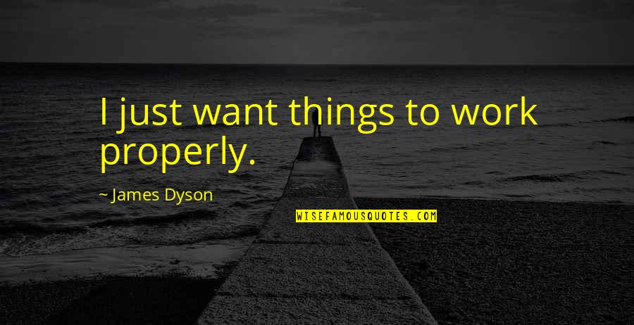 Jimbob Dayer Quotes By James Dyson: I just want things to work properly.