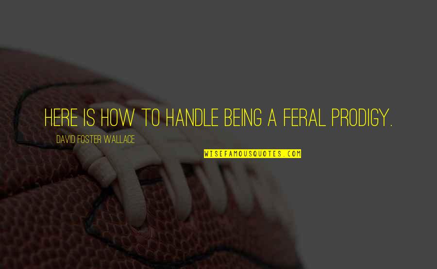 Jimmicane Quotes By David Foster Wallace: Here is how to handle being a feral Jimmicane Quotes By David Foster Wallace: Here is how to handle being a feral