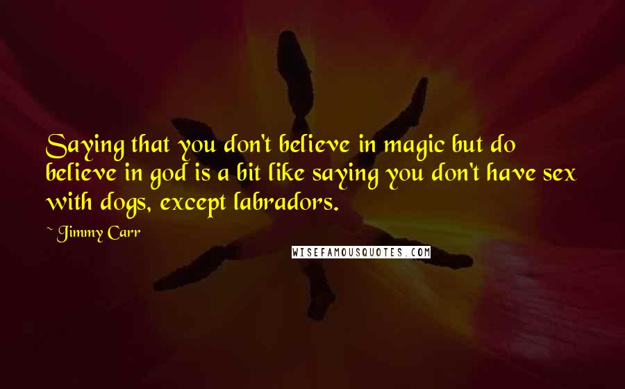 Jimmy Carr quotes: Saying that you don't believe in magic but do believe in god is a bit like saying you don't have sex with dogs, except labradors.