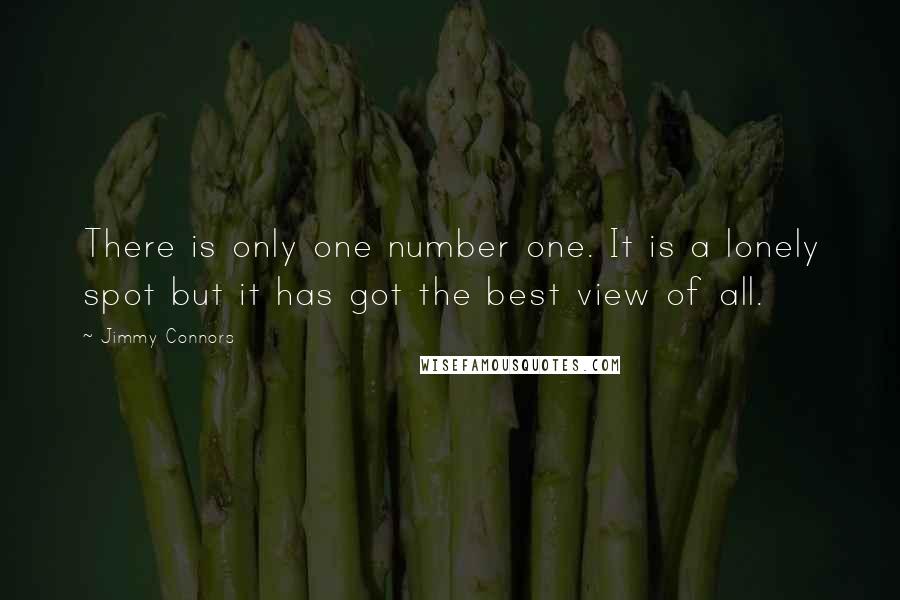 Jimmy Connors quotes: There is only one number one. It is a lonely spot but it has got the best view of all.