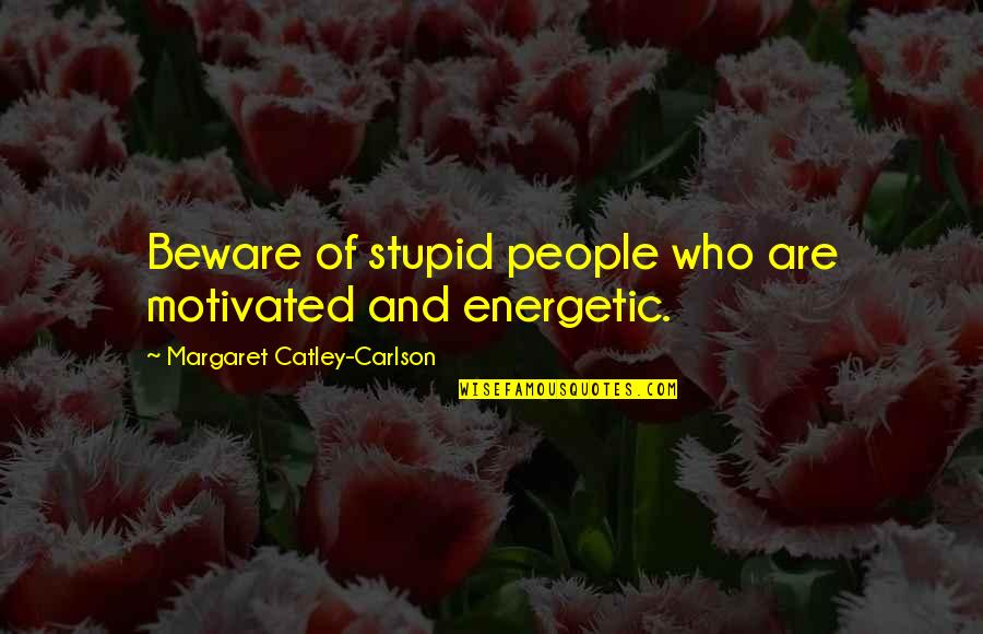 Jimmy Malone Untouchables Quotes By Margaret Catley-Carlson: Beware of stupid people who are motivated and