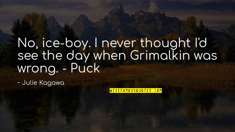 Jimmy Two Times Goodfellas Quotes By Julie Kagawa: No, ice-boy. I never thought I'd see the