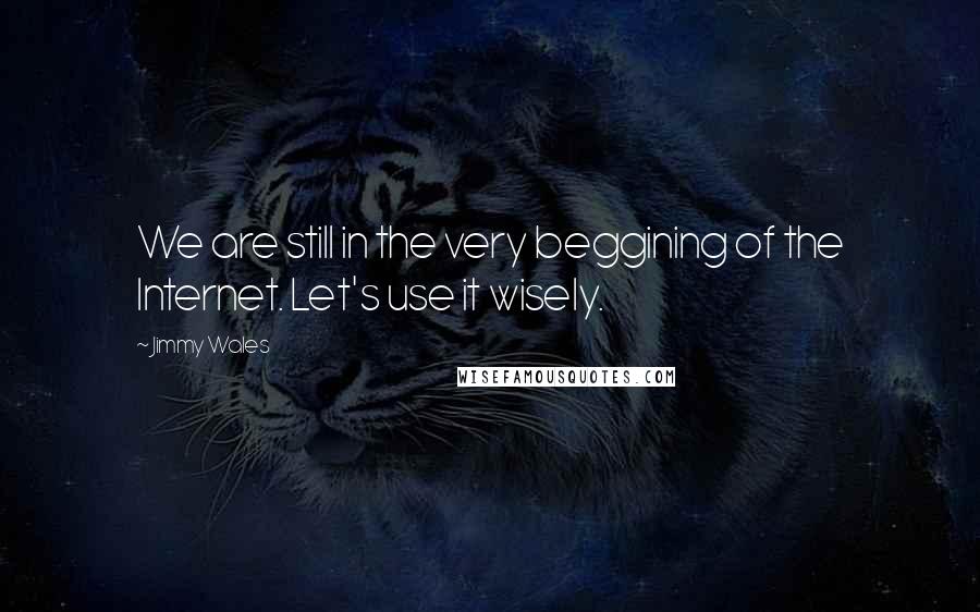 Jimmy Wales quotes: We are still in the very beggining of the Internet. Let's use it wisely.