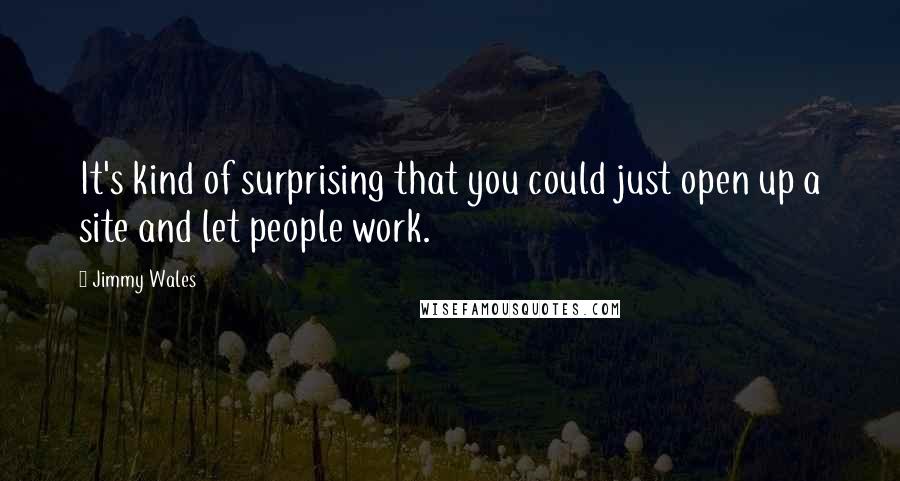 Jimmy Wales quotes: It's kind of surprising that you could just open up a site and let people work.