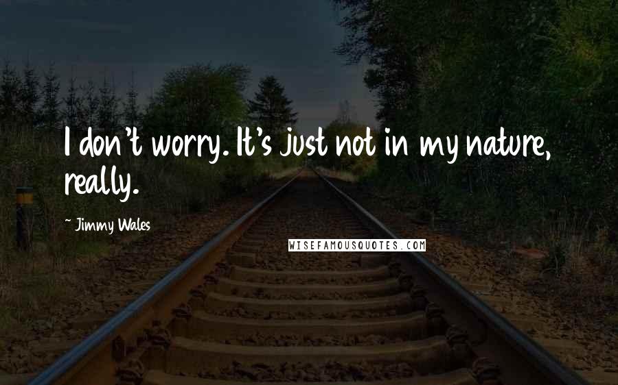 Jimmy Wales quotes: I don't worry. It's just not in my nature, really.