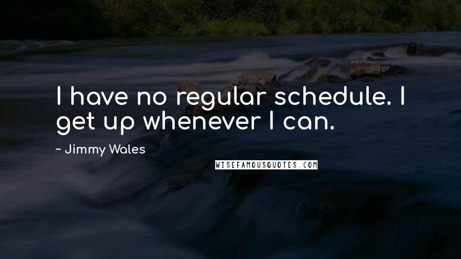 Jimmy Wales quotes: I have no regular schedule. I get up whenever I can.