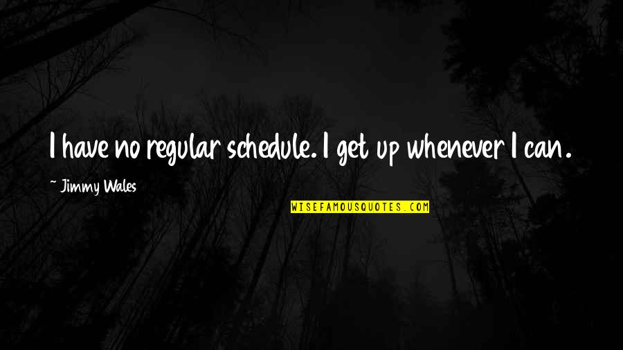 Jimmy Wales Quotes By Jimmy Wales: I have no regular schedule. I get up Jimmy Wales Quotes By Jimmy Wales: I have no regular schedule. I get up