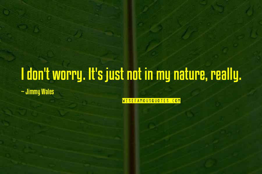 Jimmy's Quotes By Jimmy Wales: I don't worry. It's just not in my