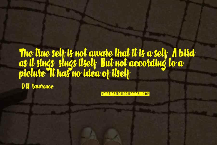 Jincy Jacob Quotes By D.H. Lawrence: The true self is not aware that it