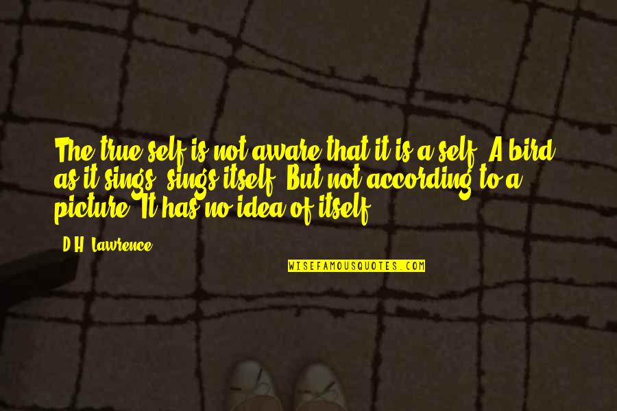 Jincy Jacob Quotes By D.H. Lawrence: The true self is not aware that it Jincy Jacob Quotes By D.H. Lawrence: The true self is not aware that it