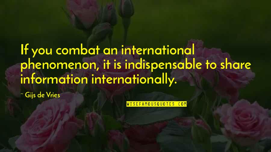 Jinnette Dominican Quotes By Gijs De Vries: If you combat an international phenomenon, it is