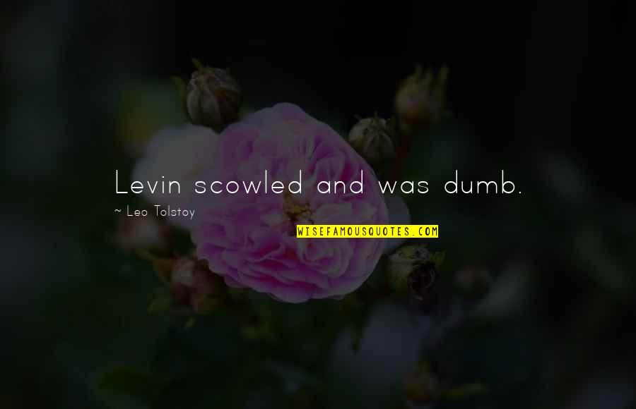 Jintan Quotes By Leo Tolstoy: Levin scowled and was dumb.