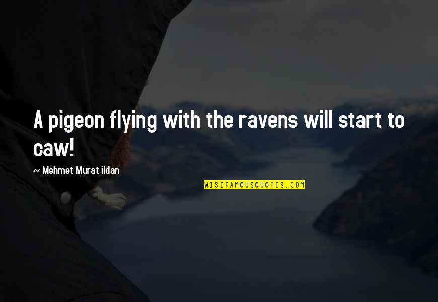 Jinxie Movie Quotes By Mehmet Murat Ildan: A pigeon flying with the ravens will start