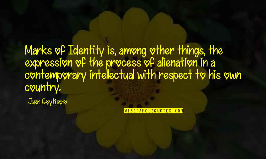 Jiska Mein Quotes By Juan Goytisolo: Marks of Identity is, among other things, the