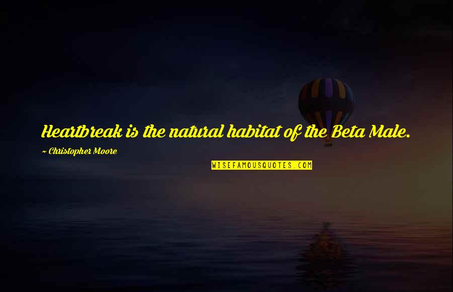 Jistmenia Quotes By Christopher Moore: Heartbreak is the natural habitat of the Beta