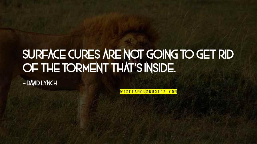 Jj Watt E60 Quotes By David Lynch: Surface cures are not going to get rid