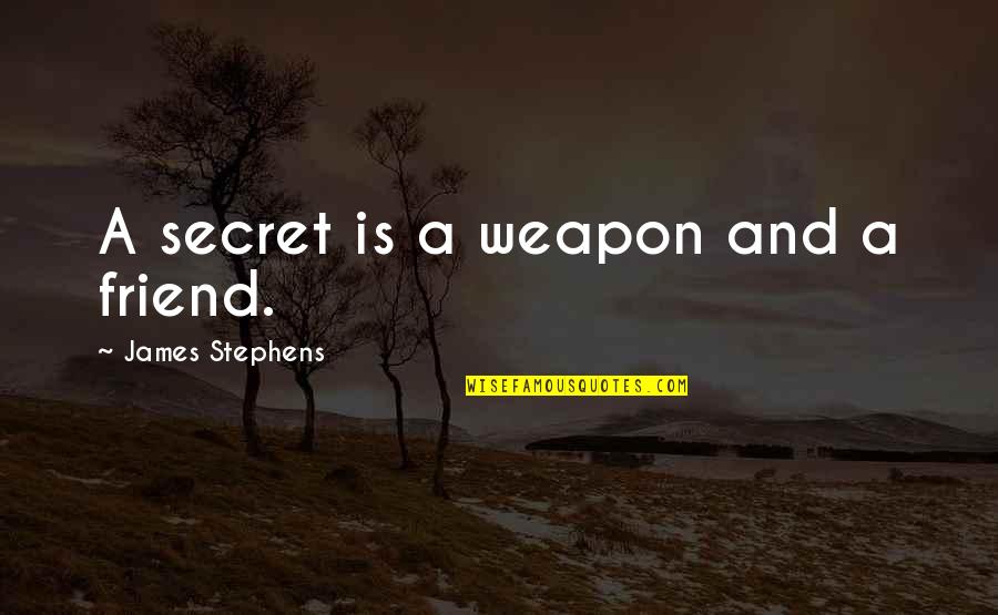 Jlove Family Quotes By James Stephens: A secret is a weapon and a friend.