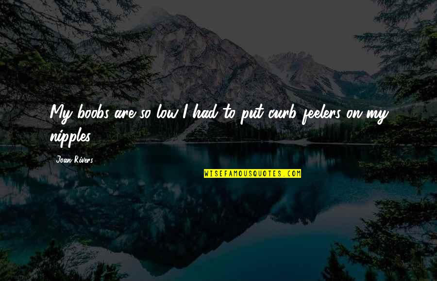 Jmttx Quotes By Joan Rivers: My boobs are so low I had to